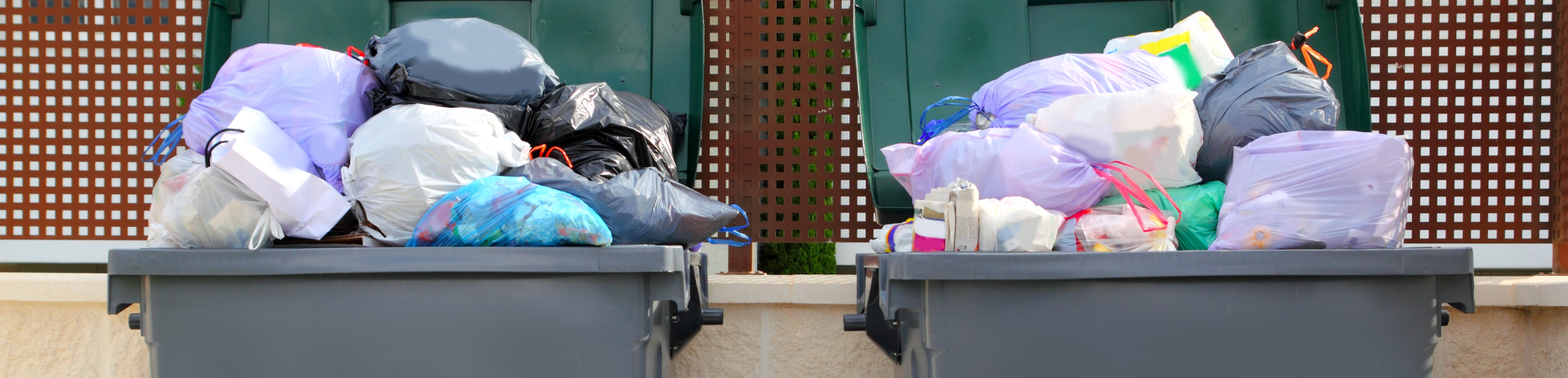 Encabezado: Si basura entra, basura sale. 