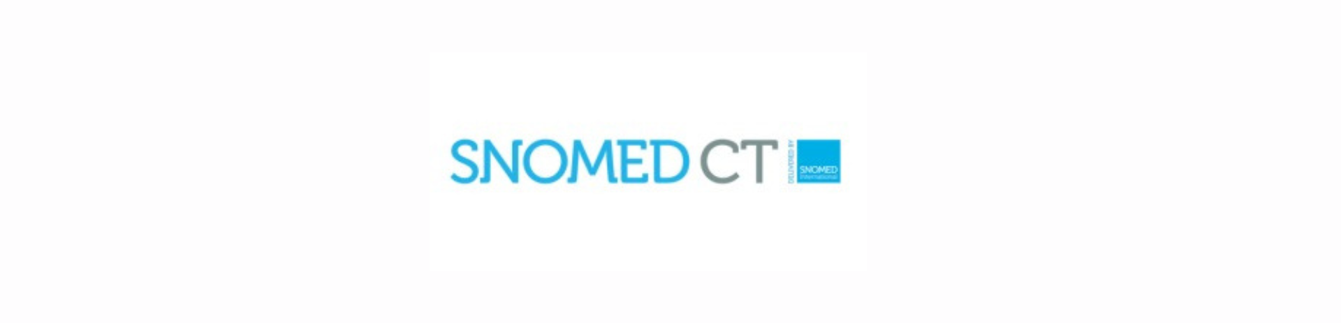 El Equipo de Implementación de SNOMED International brinda soporte a los nuevos miembros latinoamericanos en la adopción e instrumentación de SNOMED CT a través de la asistencia técnica y un paquete de servicios